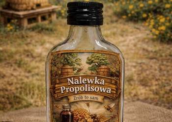 Propolis nalewka propolisowa zrób to sam