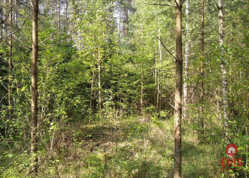 Oferta sprzedaży działki 1100m2 Jankowo-Młodzianowo