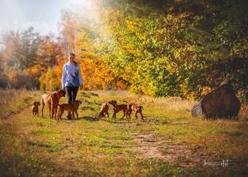 Rhodesian Ridgeback FCI