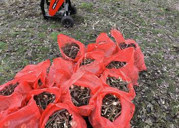 Sprzedam zrębki z rębaka