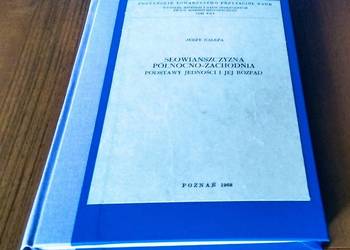Słowiańszczyzna północno-zachodnia : podstawy jedności i jej rozpad Nalepa