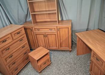 Komplet mebli w kolorze kasztanowym