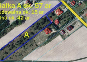 Duża działka 0,6 ha leśno-budowlana Wola Lisowska