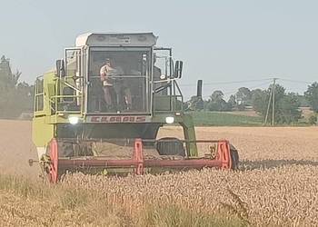 Claas Dominator 66 zadbany