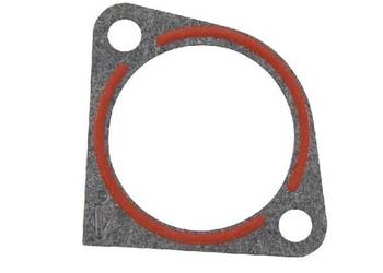 Uszczelka kołnierza 273326S