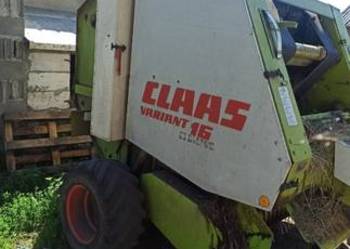 Sprzedam prase Claas variatn