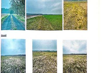 Syndyk sprzeda działki w miejscowości Karszyn – 80% ceny