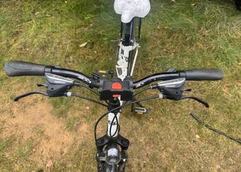 Rower Cossack Design damka