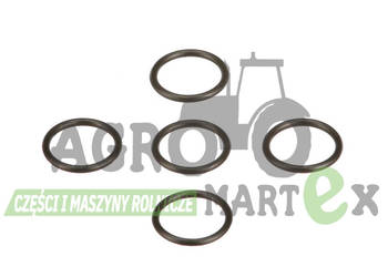 637-63173, 87778698, 84432615 ORING CNH