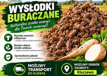 WYSŁODKI BURACZANE