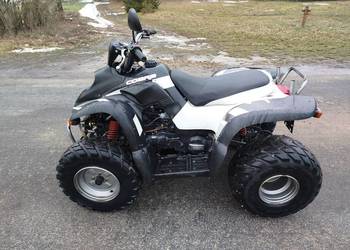 Quad Aeon Cobra 180