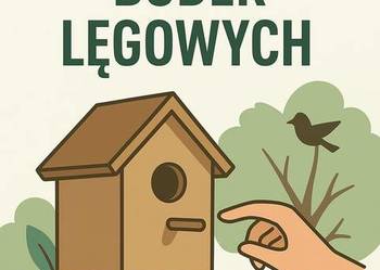 Profesjonalne czyszczenie i montaż budek lęgowych – na terenie całej Polski