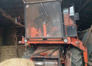 Bizon Rekord z sieczkarnią