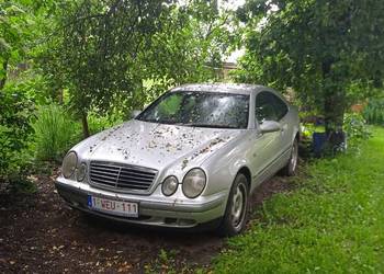 Mercedes do zabawy