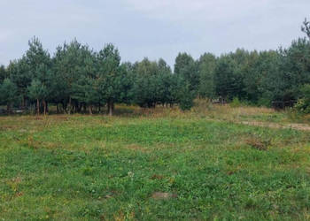 Ogłoszenie działka Poddubówek 1050m2