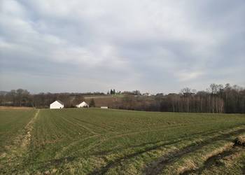 Działka rolna - Sławkowice, gm. Biskupice