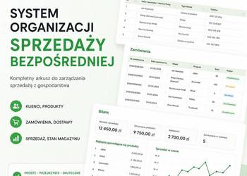 Sprzedaż bezpośrednia - system Excel