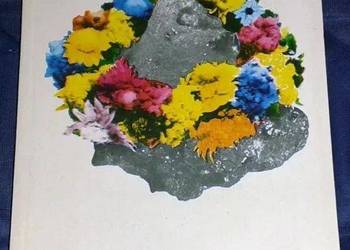 Piosenki z fabułą. Figurki z gagatu - František Stavinoha