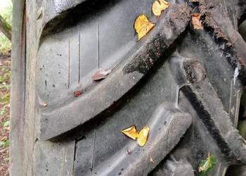 Opona dneproshina 650,75, 32R