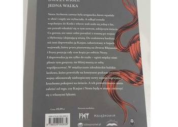 Dwór srebrnych płomieni -  tom 1 Maas