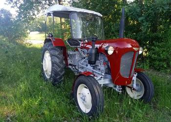 Ursus c328