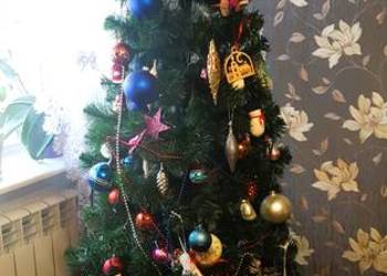 Piękna choinka wysoka 190cm.