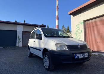 Fiat Panda 4x4 Benzyna 1.2 manual naped na 4 kola