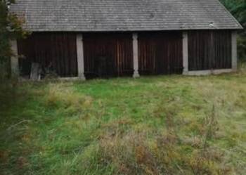 Sprzedam siedlisko 40a Dąbrowy gm Rozogi