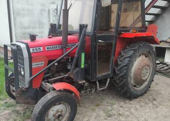 MF 255 1990 rok