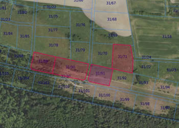 Działki 31/71 i inne w miejscowości Grabowno Wielkie