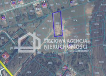 Oferta sprzedaży działki Sitno 2000m2