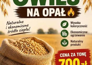 Owies pellat opał
