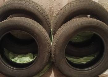 Opony zimowe Barum Polaris 185/65 R15