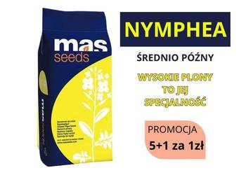 Nasiona rzepaku MAS NYMPHEA 1,5 mln nasion