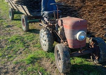 Ciągnik ogrodniczy dzik 2