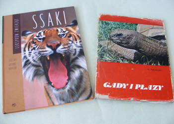 Gady i płazy Album Puchalski  Ssaki Leksykon zwierząt Zub