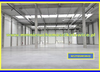 Hala do wynajęcia Siemianowice Śląskie ogrzewanie rampa, brama "0" biura s…