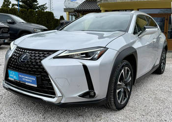 Lexus UX 250h,Hybryda,4x4,Gwarancja