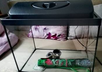 Pilnie sprzedam akwarium w dobrym stanie!