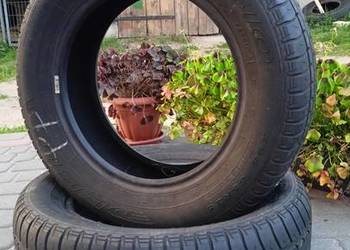 Opony letnie 195/65 R15 Dębica – Para 2 szt. Ładne!