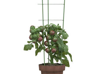 Podpórki dla roślin z 3 obręczami 5 szt zielone 60 cm stal WM-319373