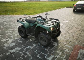 Quad yamaha bruin 250