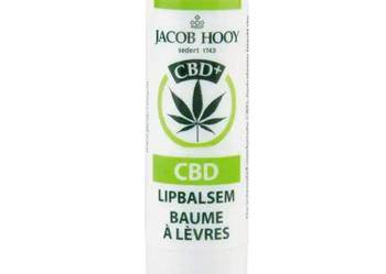Balsam do ust Jacob Hooy CBD