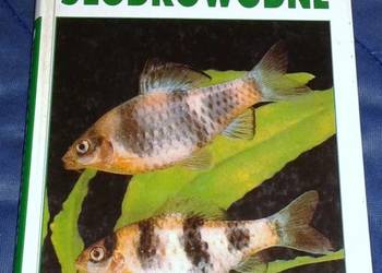 Ryby Słodkowodne. Leksykon Przyrodniczy