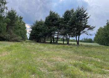 Działka z możliwością budowy domu - 14 arów