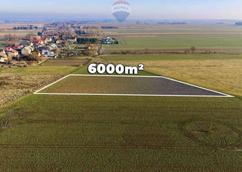 Okazja cenowa! Duża działka - Chocianowiec