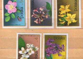 Zn. Fi 2068, 9, 72 - 4 ** 1972