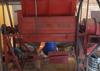 bukownik do kończyny, orkiszu