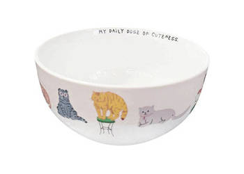 pastelowa miseczka z kotami, ceramiczna miseczka w kotki, koty salaterka
