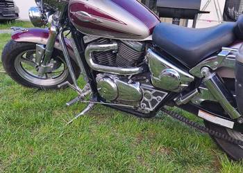Suzuki vz800